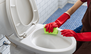 Toilet Bowl Cleaning